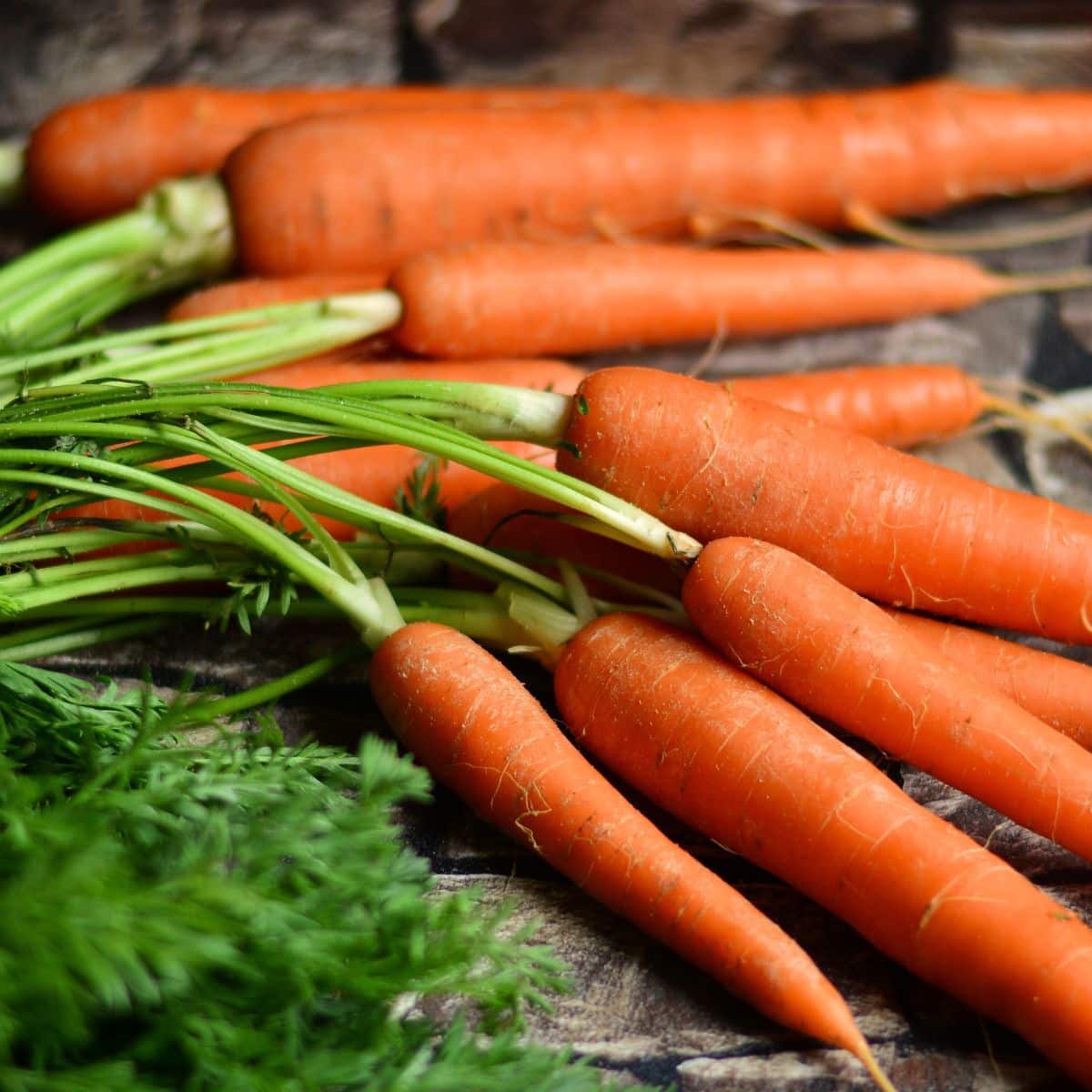 Fresh carrots.