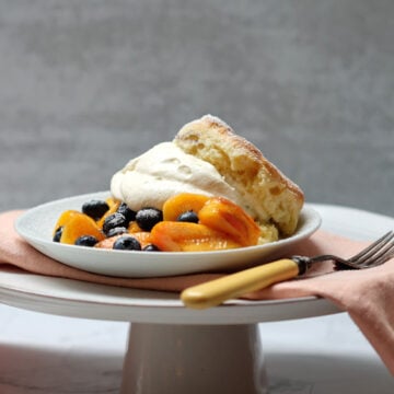 single serving of grilled peach and blueberry shortcake with whipped cream and fork