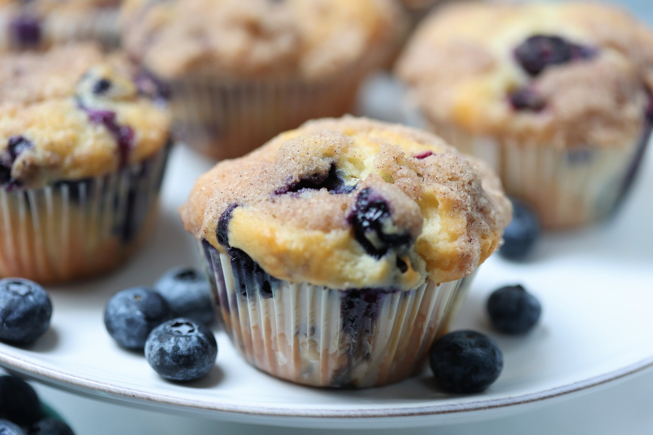Blueberry Buckle Muffins • Flavor Feed