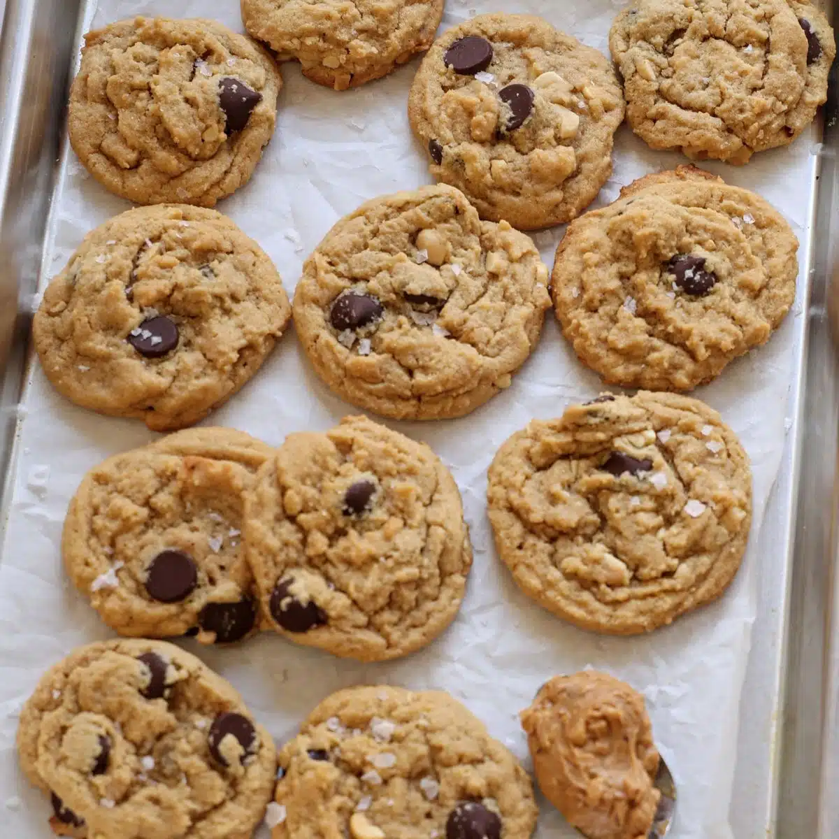 Peanut butter cookies on baking sheet. 