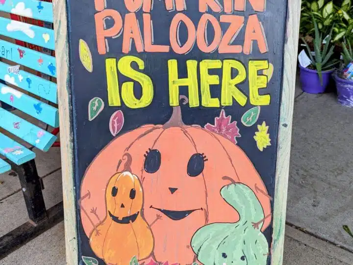 Trader Joe's Pumpkin Palooza sign