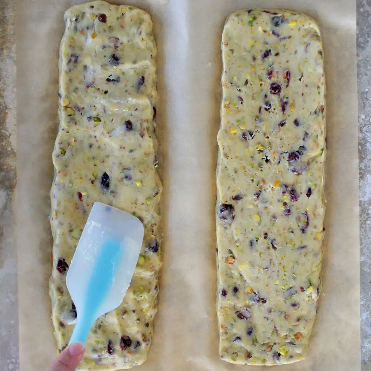 Forming the dough for cherry and pistachio biscotti,