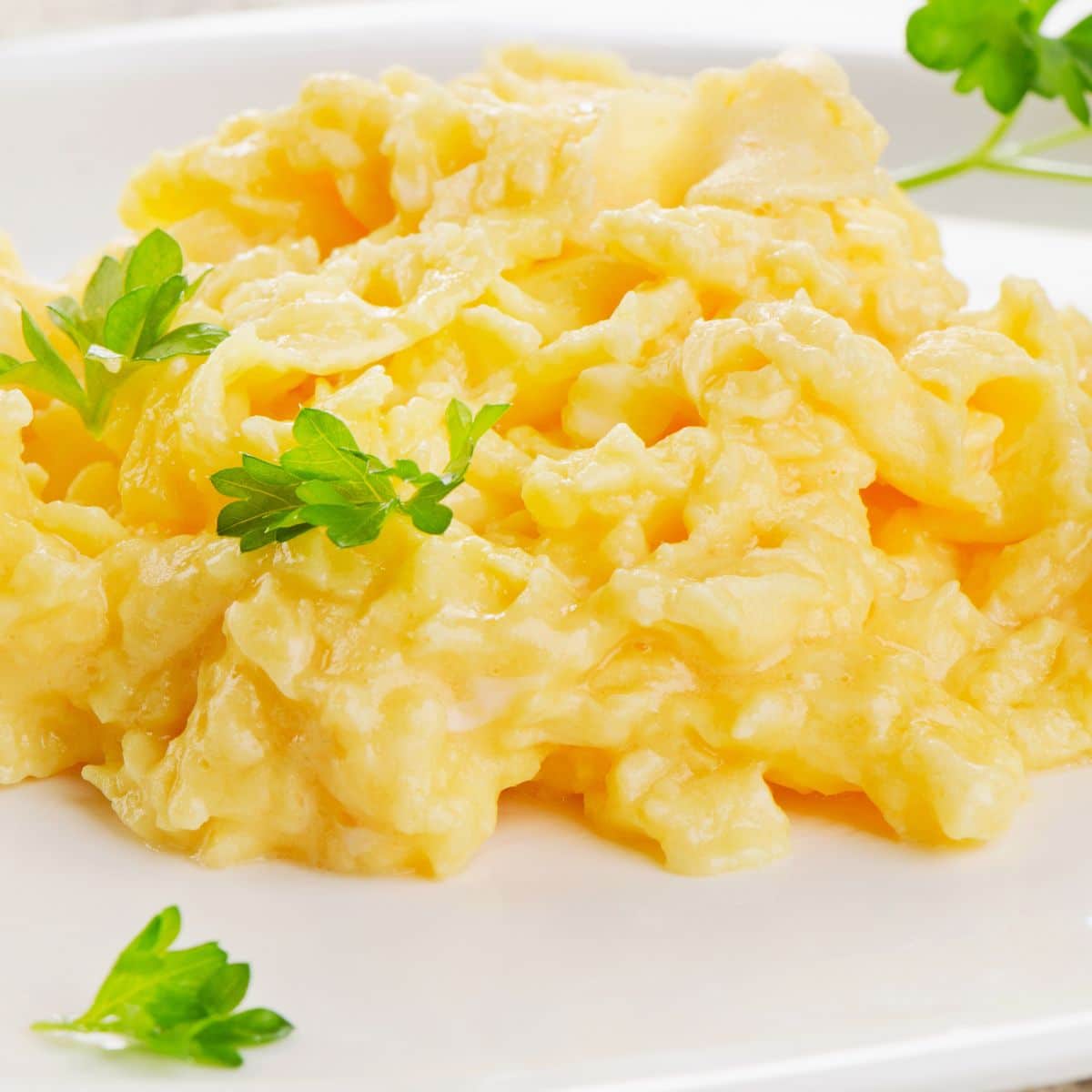 Plate with scrambled eggs. 