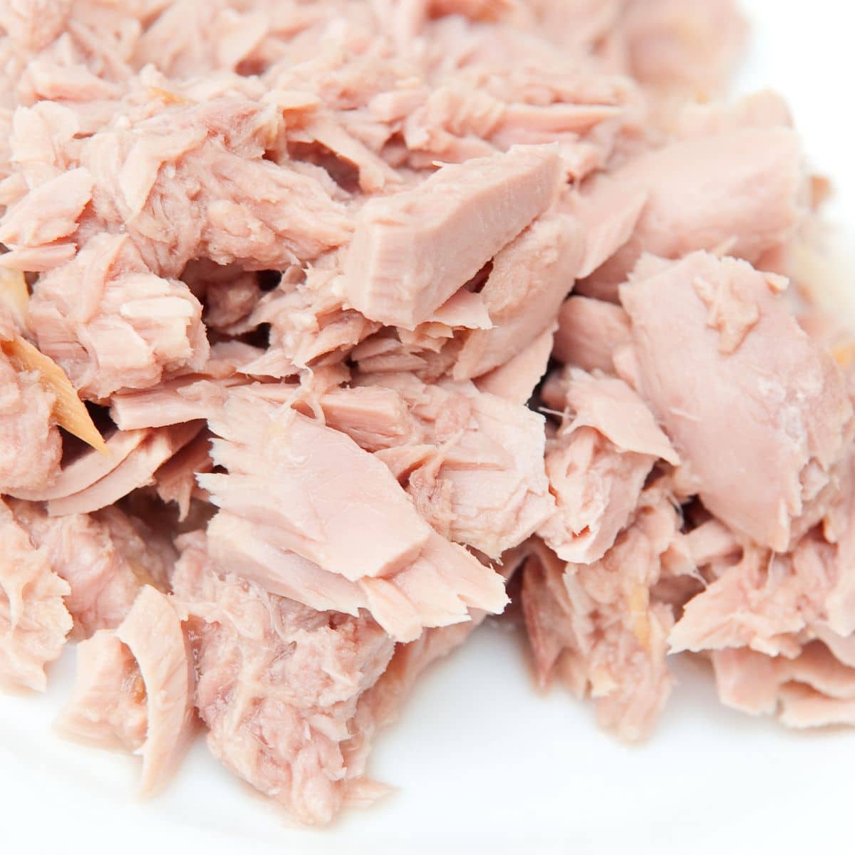 Faked tuna fish.