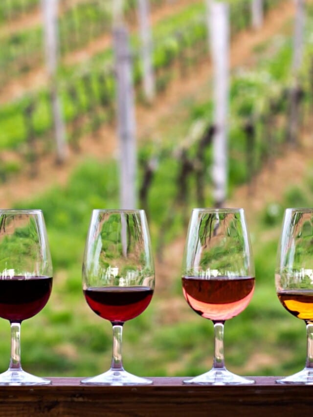 Glasses of wine in vineyard.
