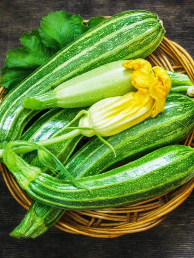 Bowl wth zucchini and zucchini blossoms